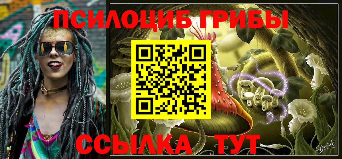 Галлюциногенные грибы MAGIC MUSHROOMS Кашира