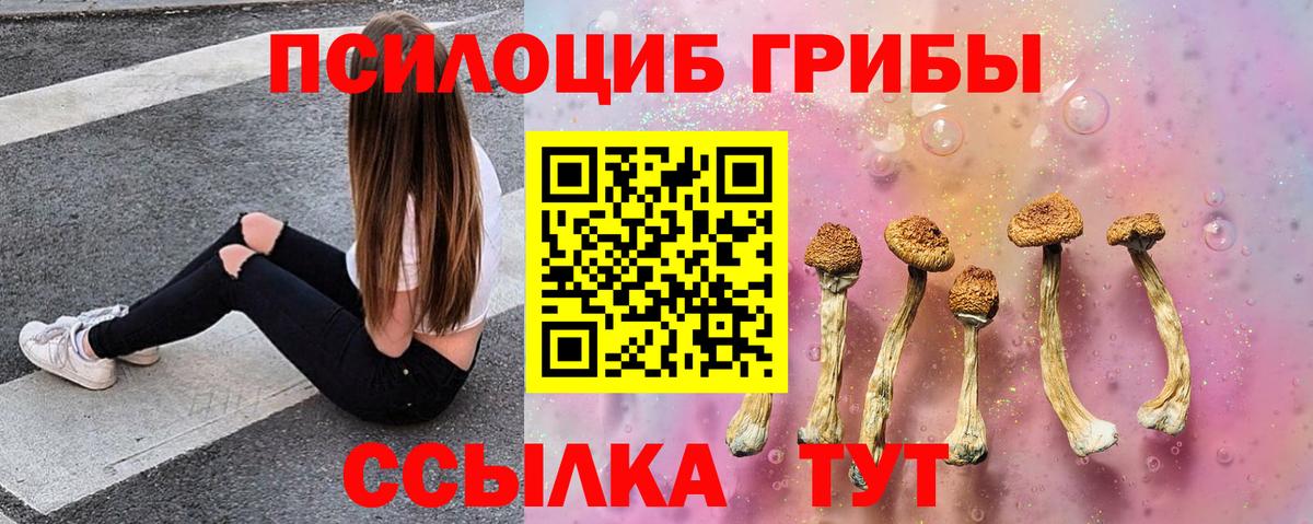 Псилоцибиновые грибы прущие грибы  Вход с VPN  Кашира 